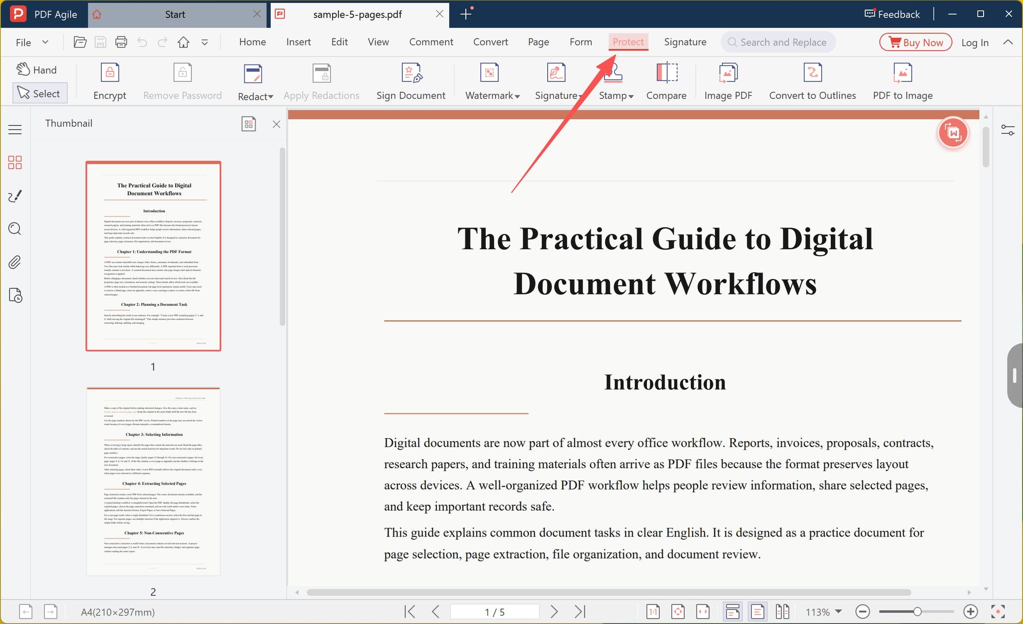 PDF Agile desktop app with the Protect tab selected for an open PDF