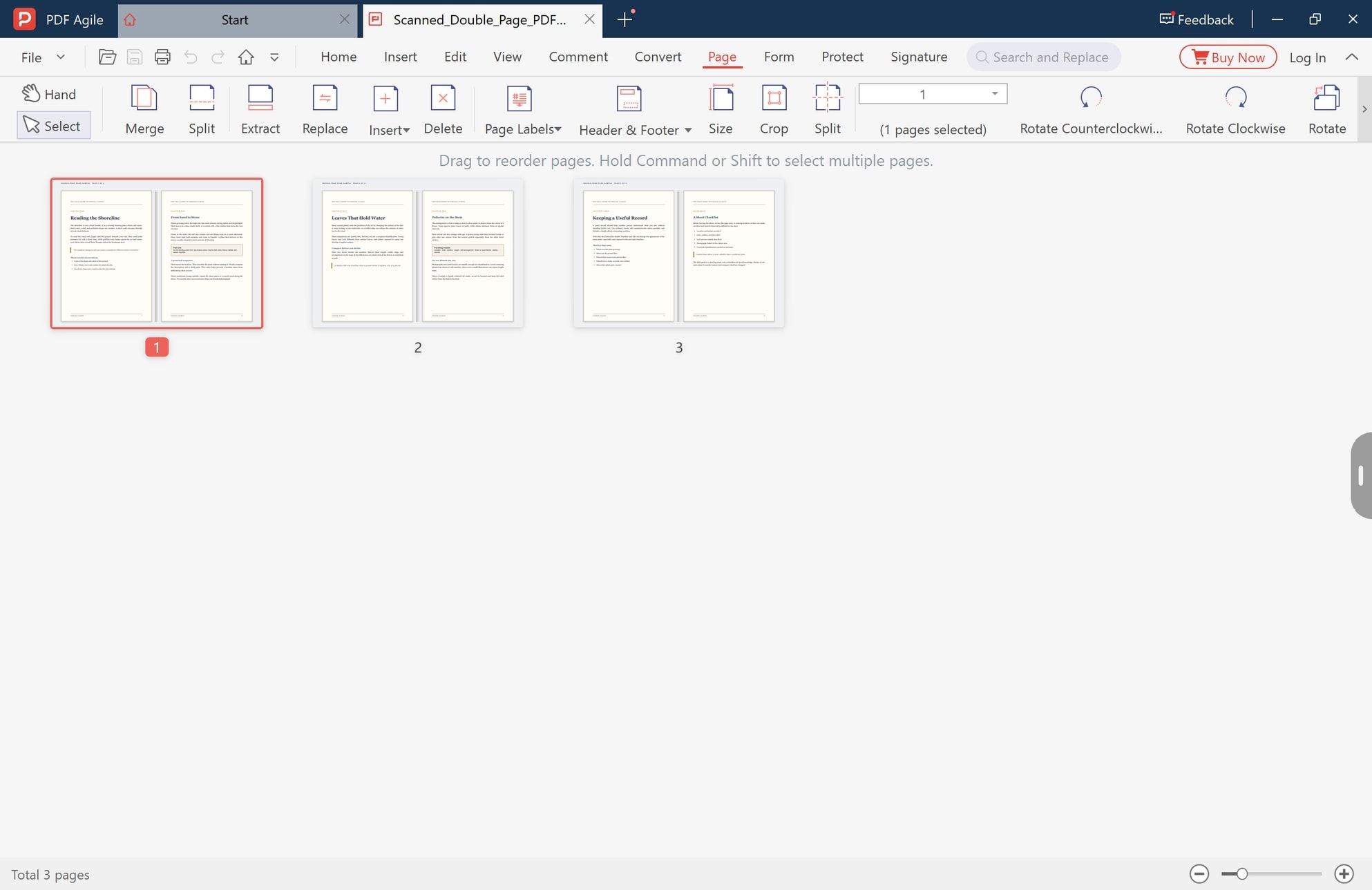 Page tab showing a scanned PDF as double-page spread thumbnails