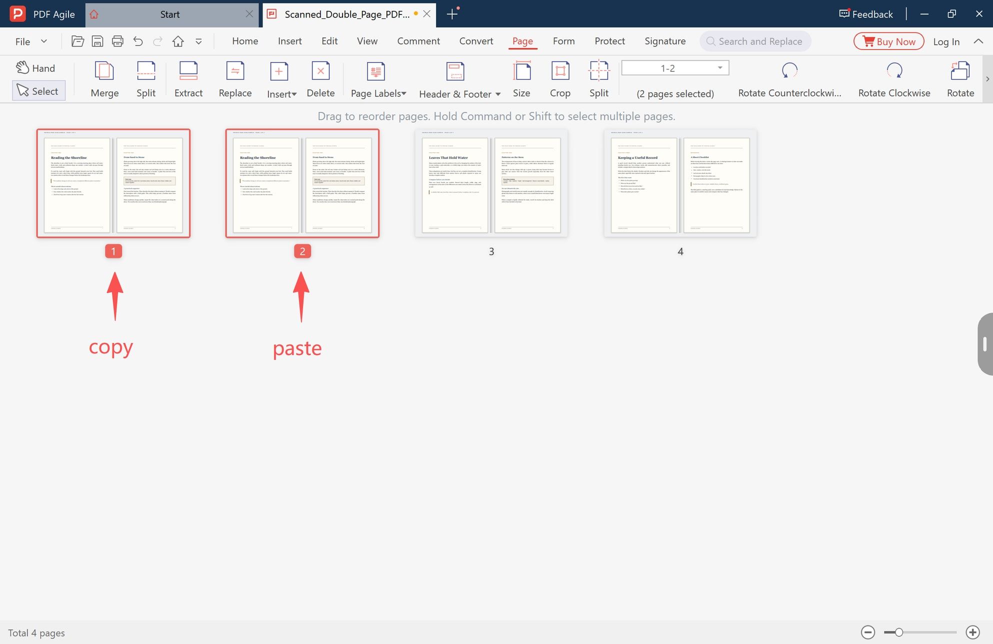 The original spread and its pasted copy sitting together in the thumbnail view