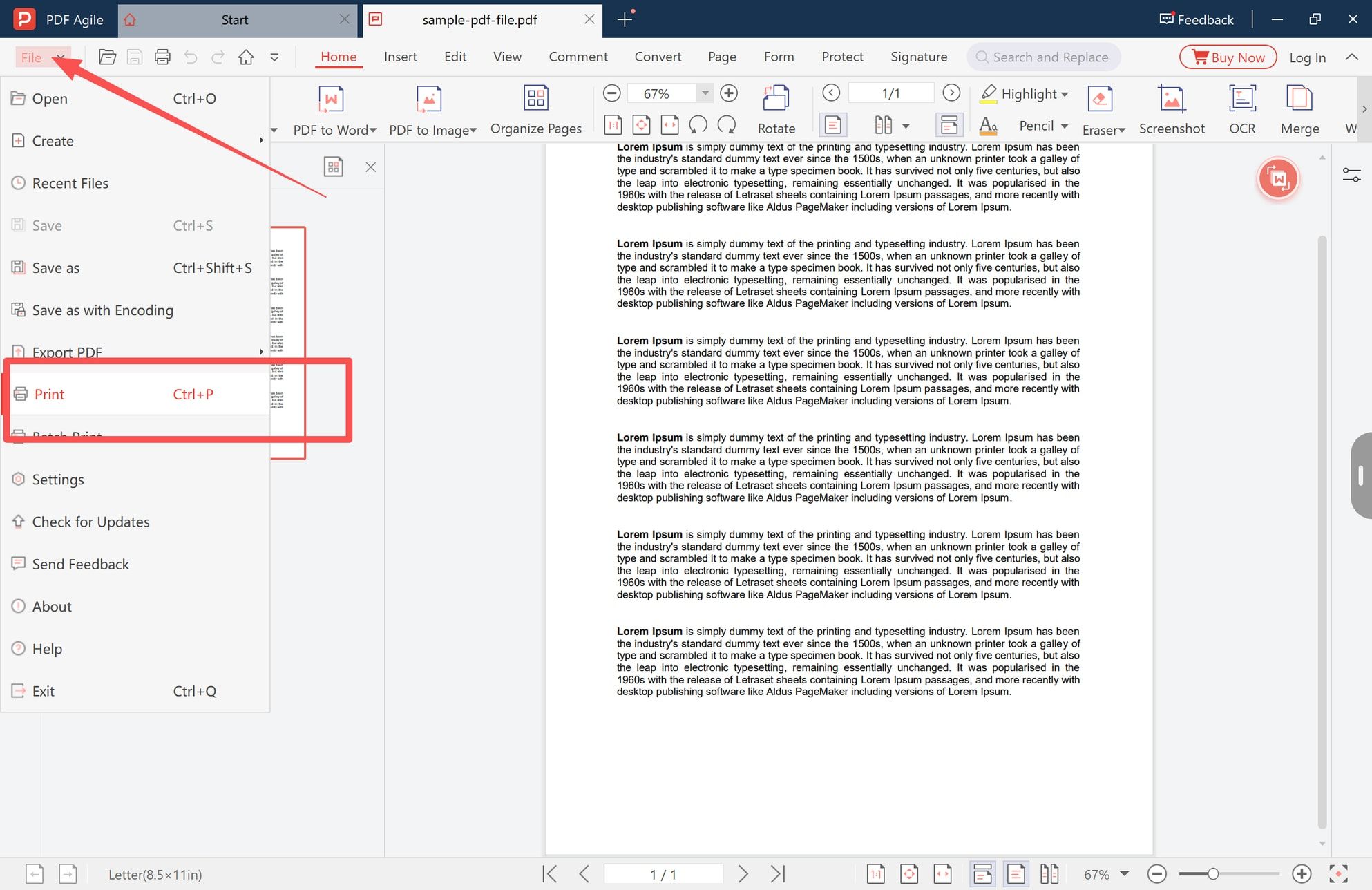 The Print command and its Ctrl+P shortcut in the File menu of the PDF editor