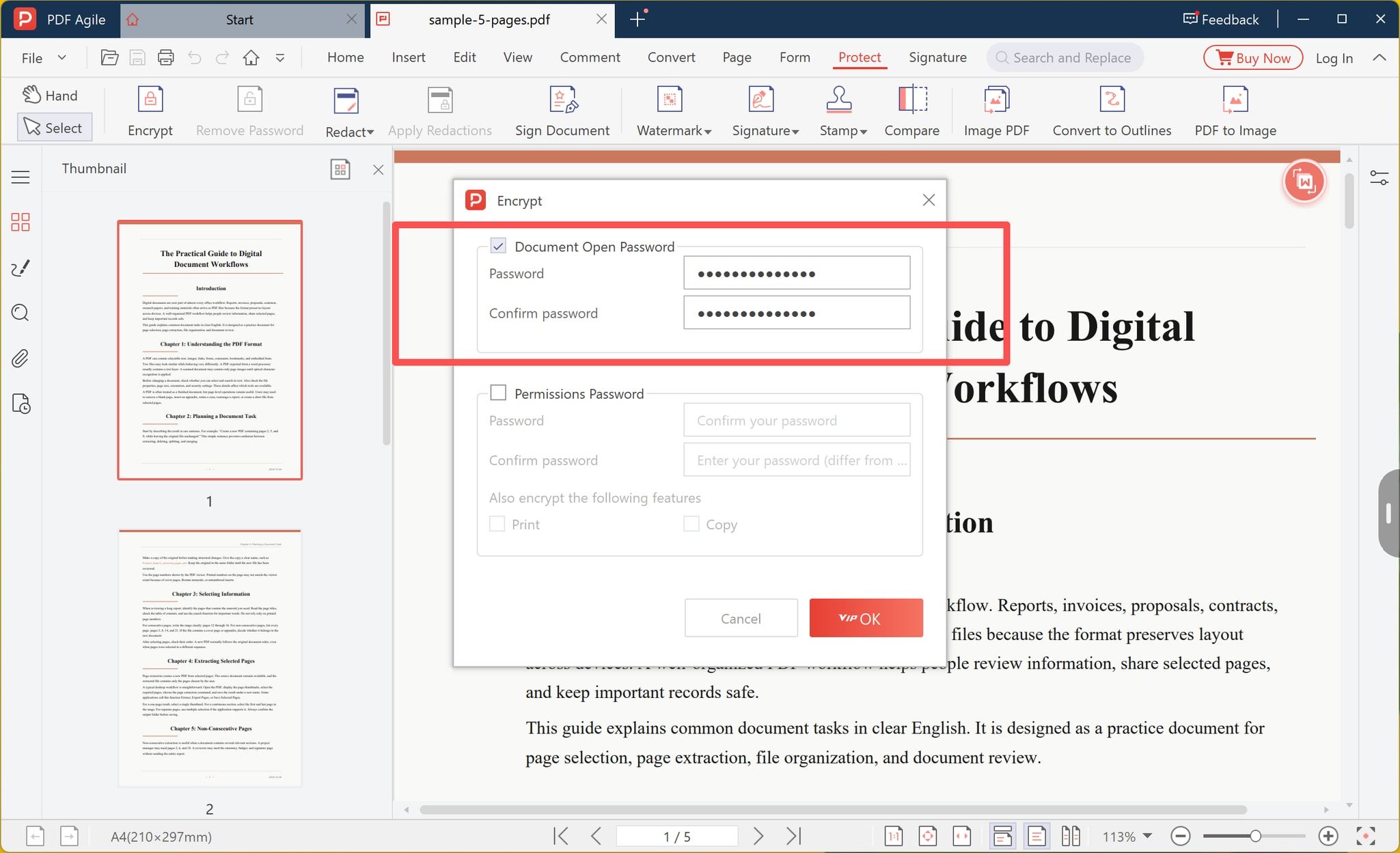 Document Open Password checked with the password entered in both fields