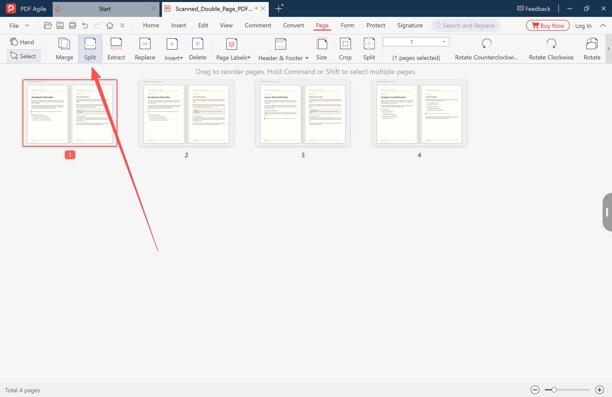 Split button in the Page tab, used after the spread has been duplicated and cropped