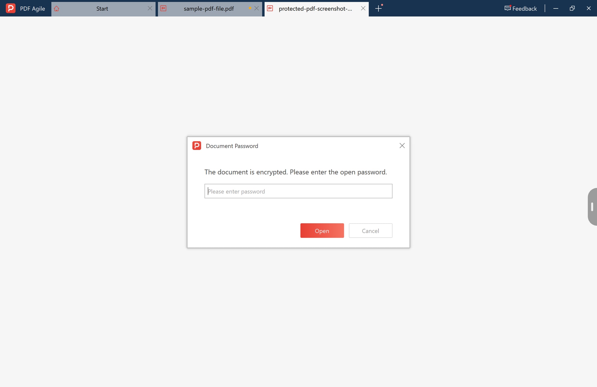 Open password prompt for an encrypted PDF