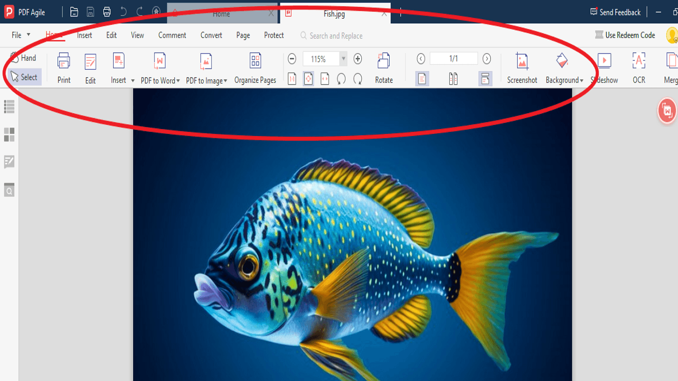 Once the image is loaded, you can adjust its size and position within the PDF if needed.
