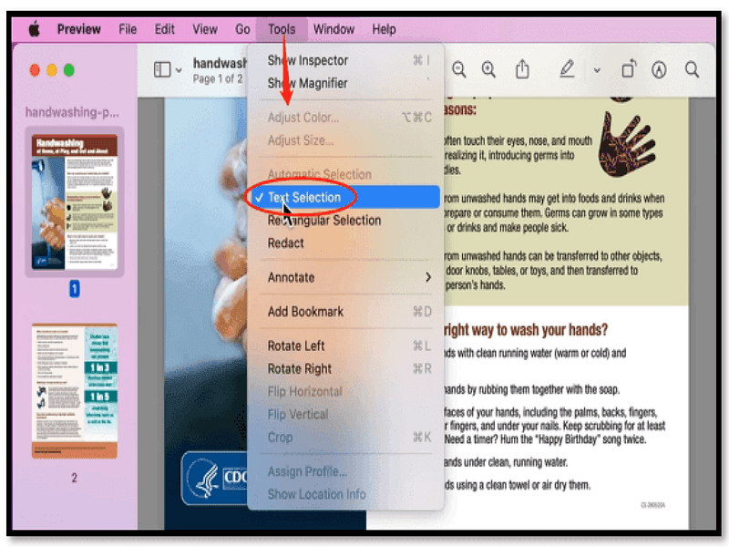 1. PDF in Preview öffnen: 