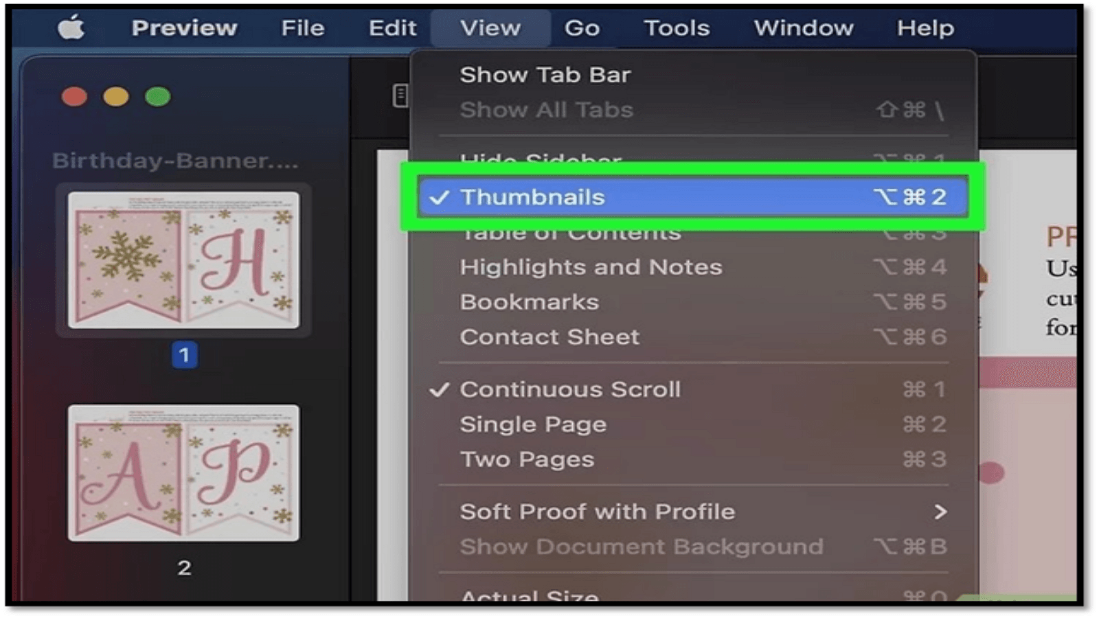 2. Go to the View menu and choose Thumbnails: 