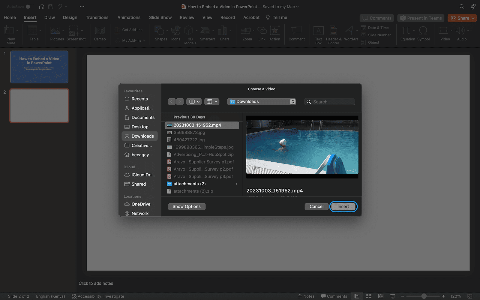 1.Pick your video in the file selection window and click Insert to place it on your slide.