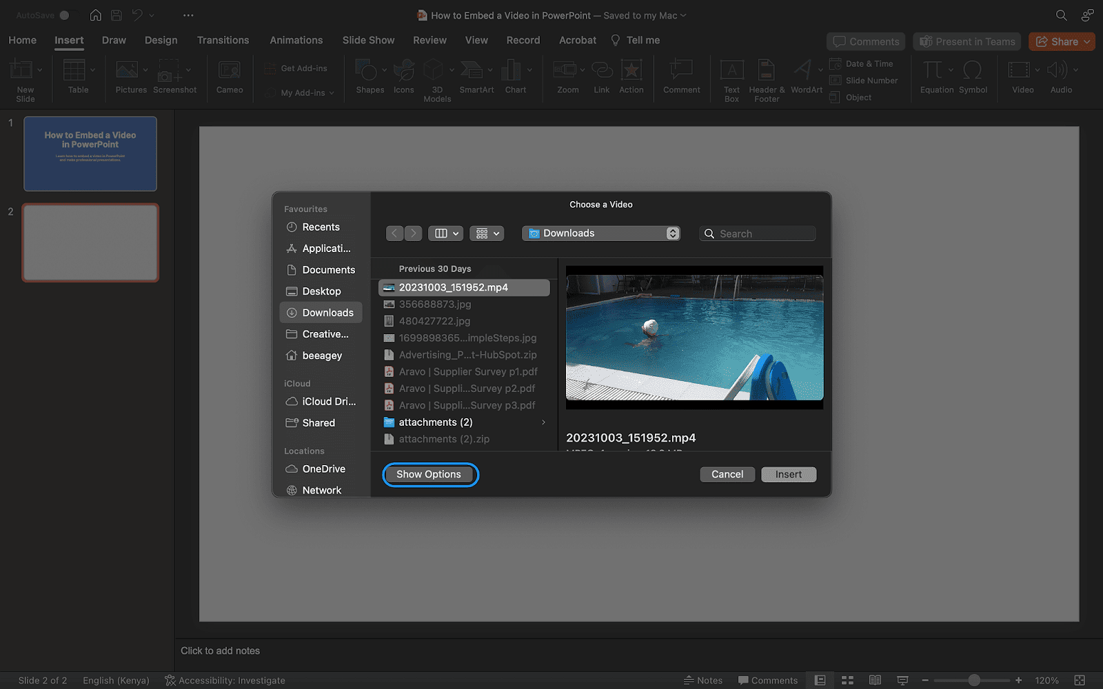 2. Select Show Options in the window's bottom corner to link rather than embed the video.
