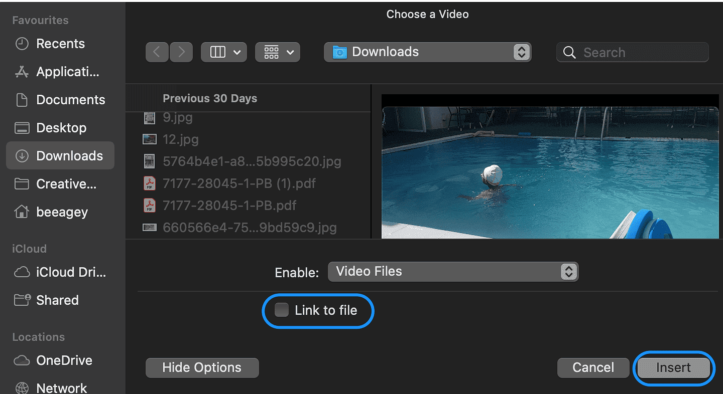 3. Check the Link to the file and click Insert.
