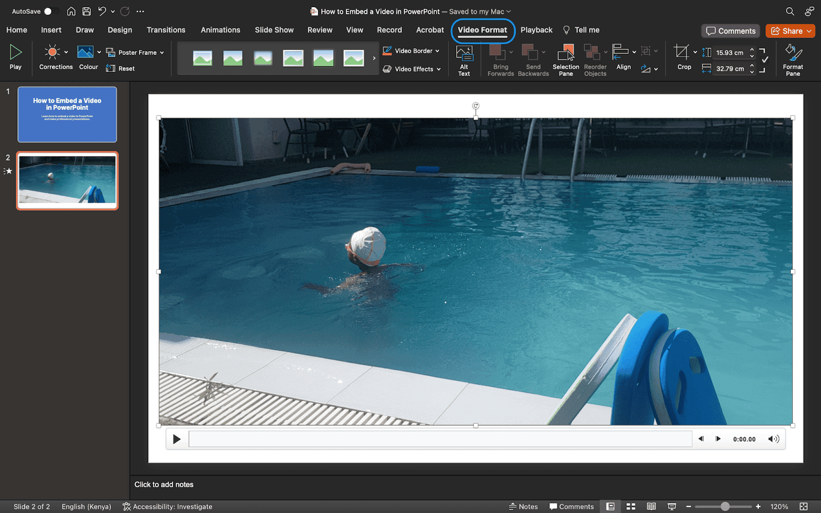 4. Use Format options to customize the appearance and set playback preferences.