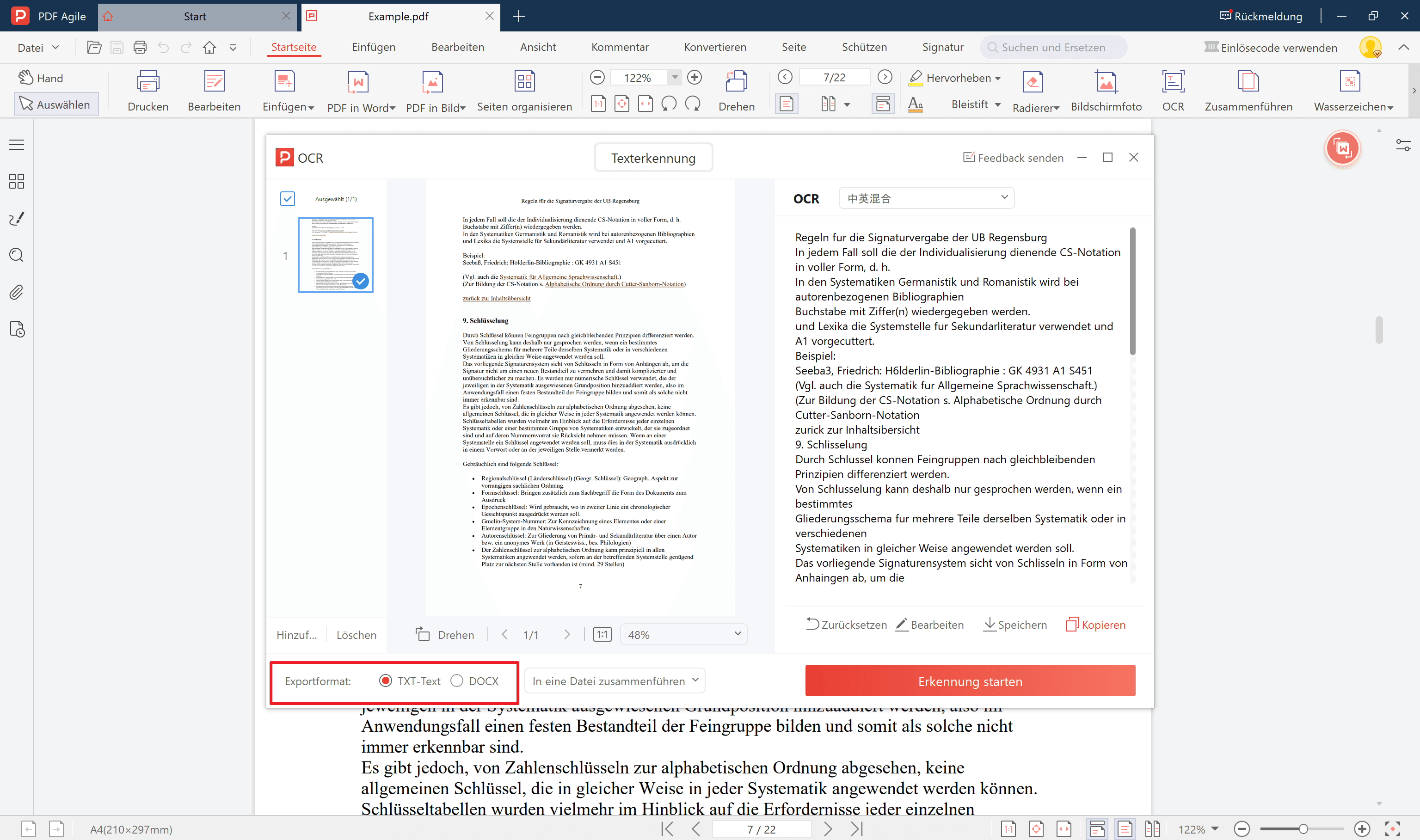 4. Wählen Sie zwischen TXT-Text oder Docx-Ausgabeformat.