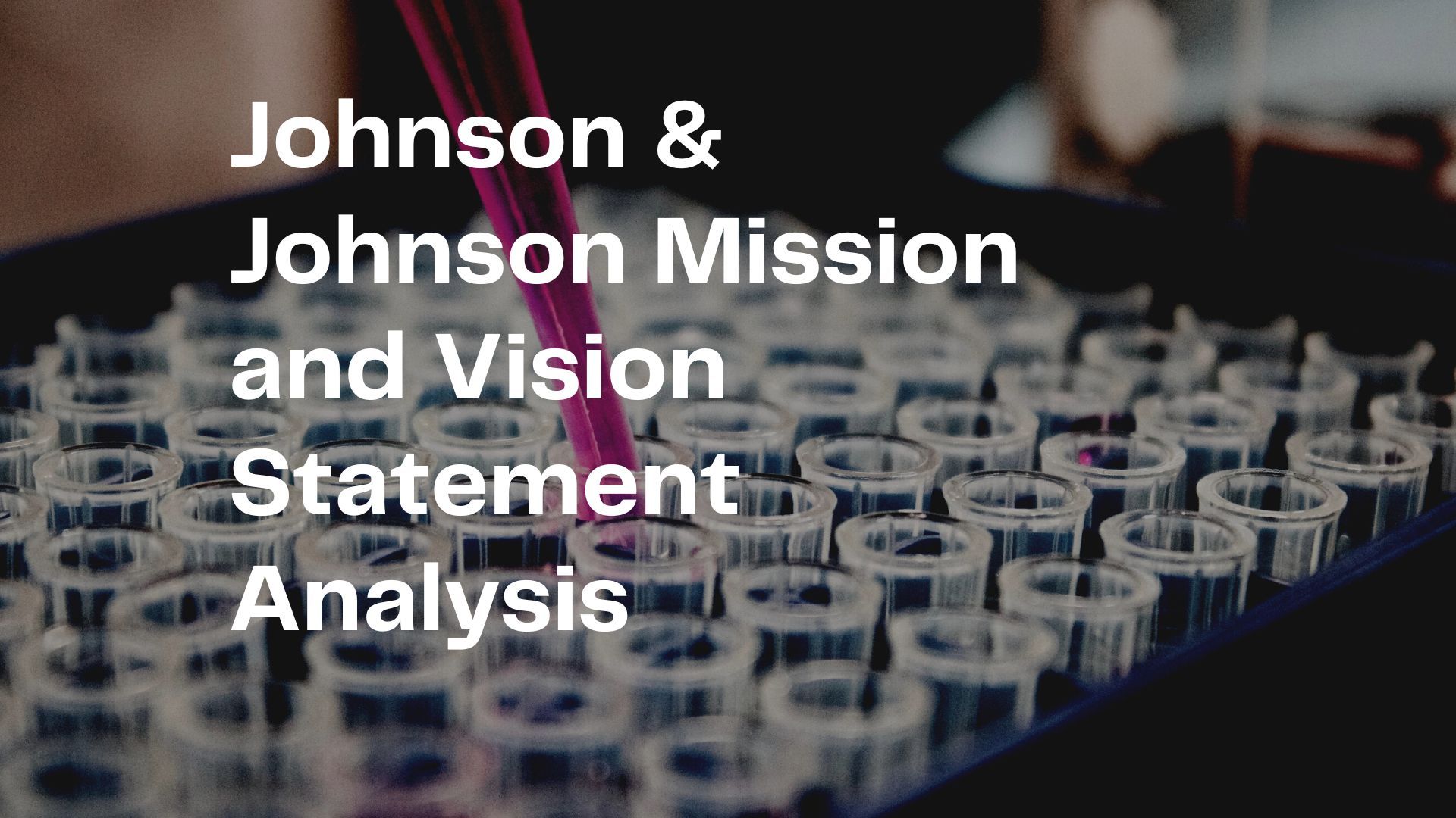 514 - Johnson Mission and Vision Statement Analysis.jpg