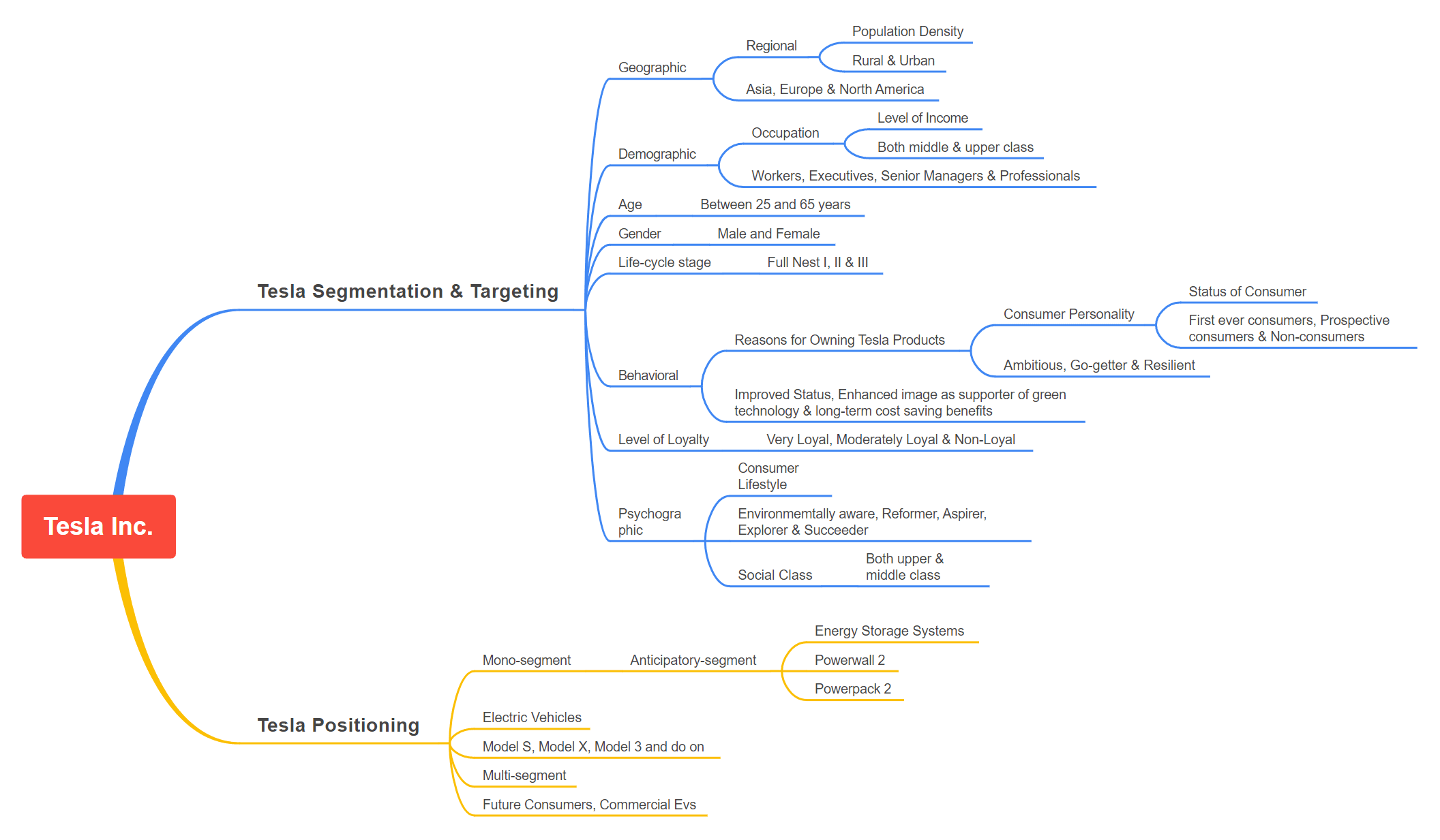 Tesla Segmentation, Targeting, and Positioning (2023)