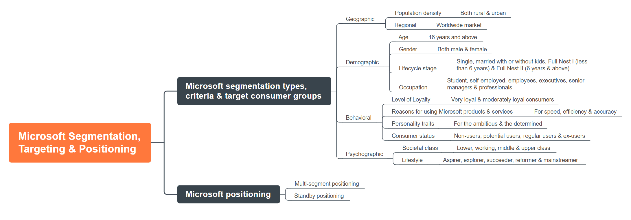 Microsoft Segmentation, Targeting, and Positioning