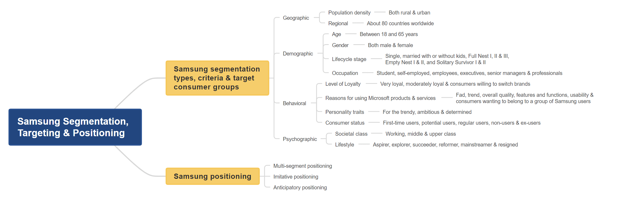 Samsung Segmentation, Targeting, and Positioning