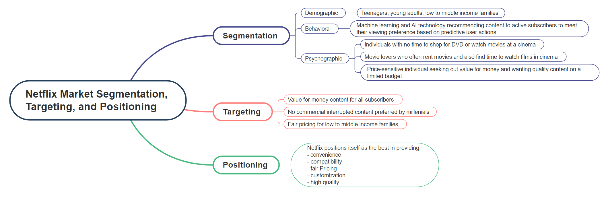 Netflix Market Segmentation, Targeting, and Positioning