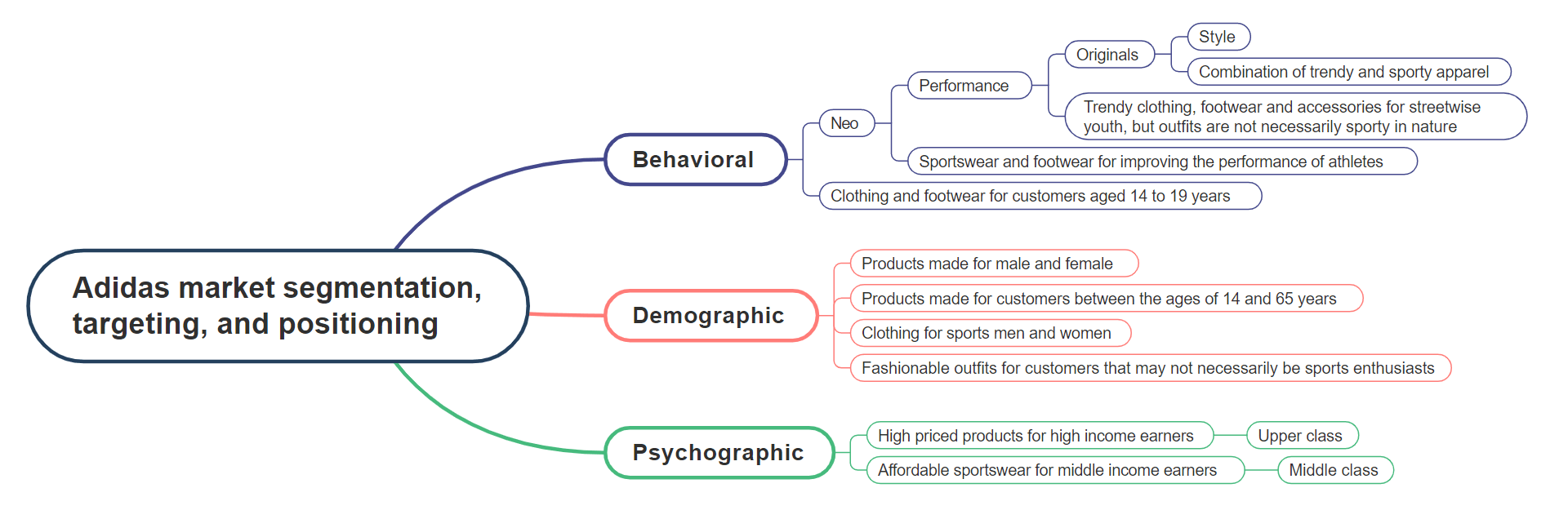 Adidas Segmentation, Targeting, and Positioning