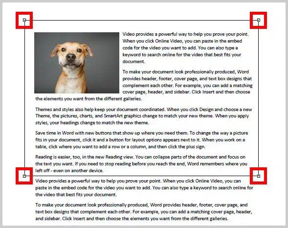 5. Draw the Crop Area: Drag your pointer to create a rectangle over the area of the page you want to keep.