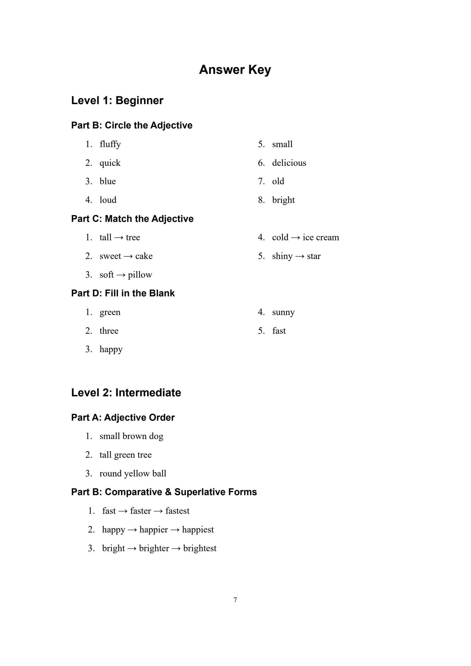Adjective Practice Worksheets 7
