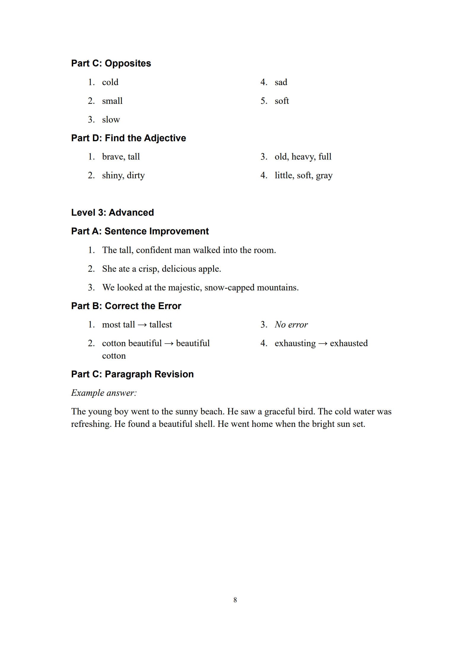 Adjective Practice Worksheets 8