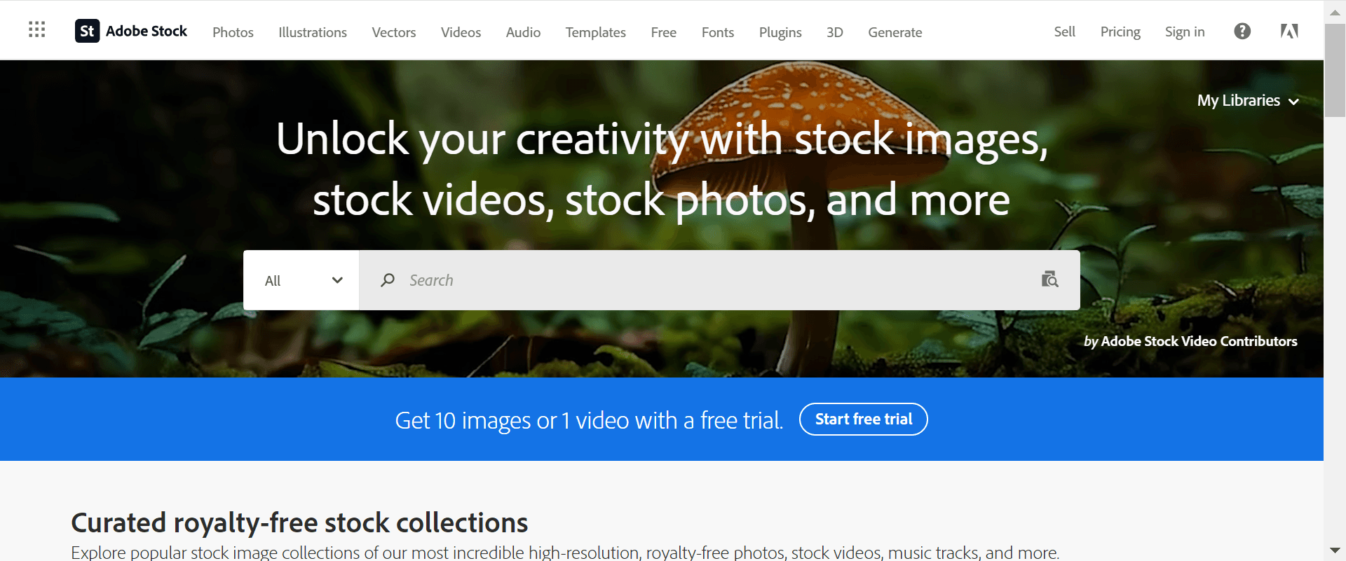 Adobe Stock