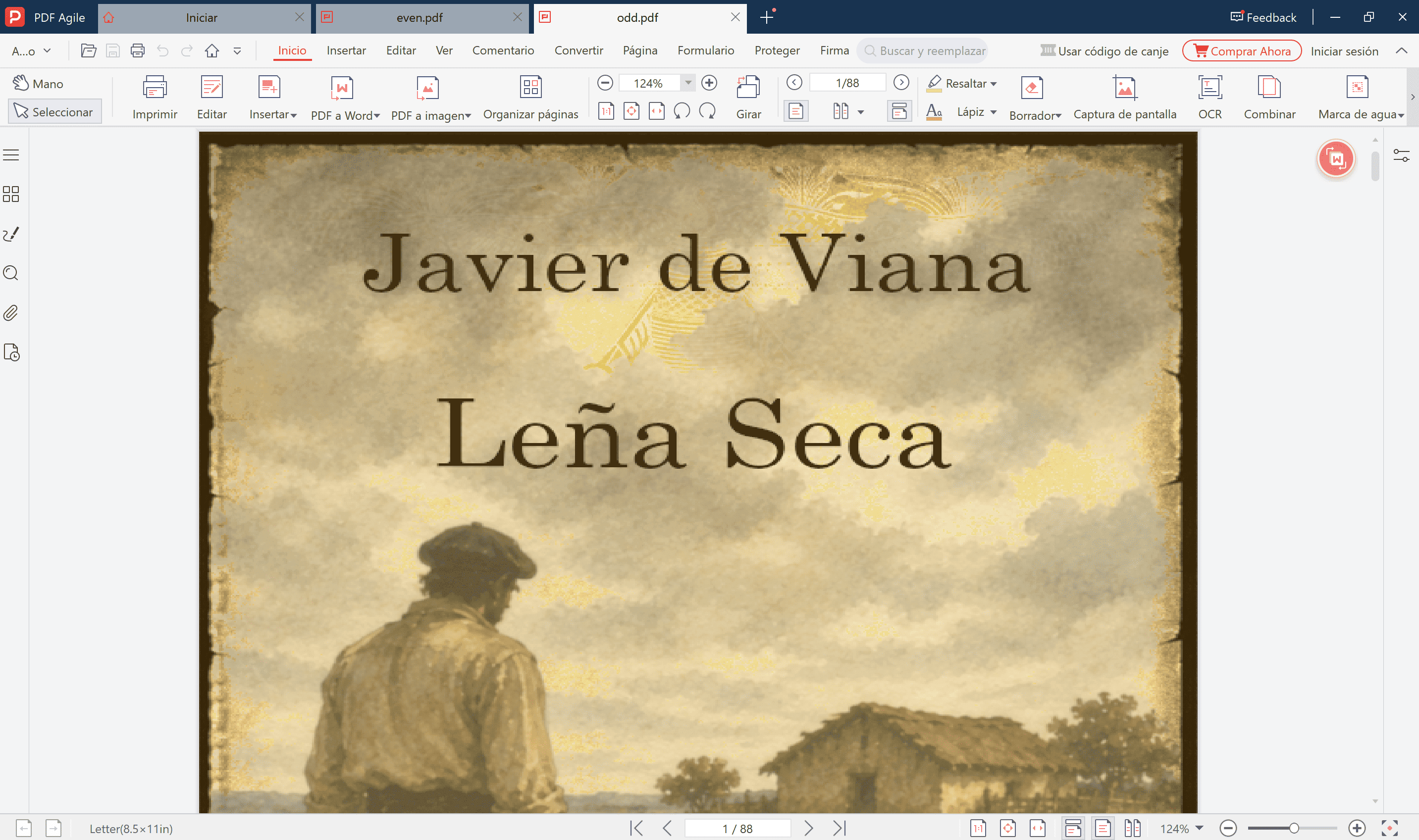 Archivo PDF dividido por páginas impares
