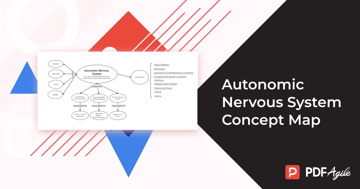 Autonomic Nervous System Concept Map Template