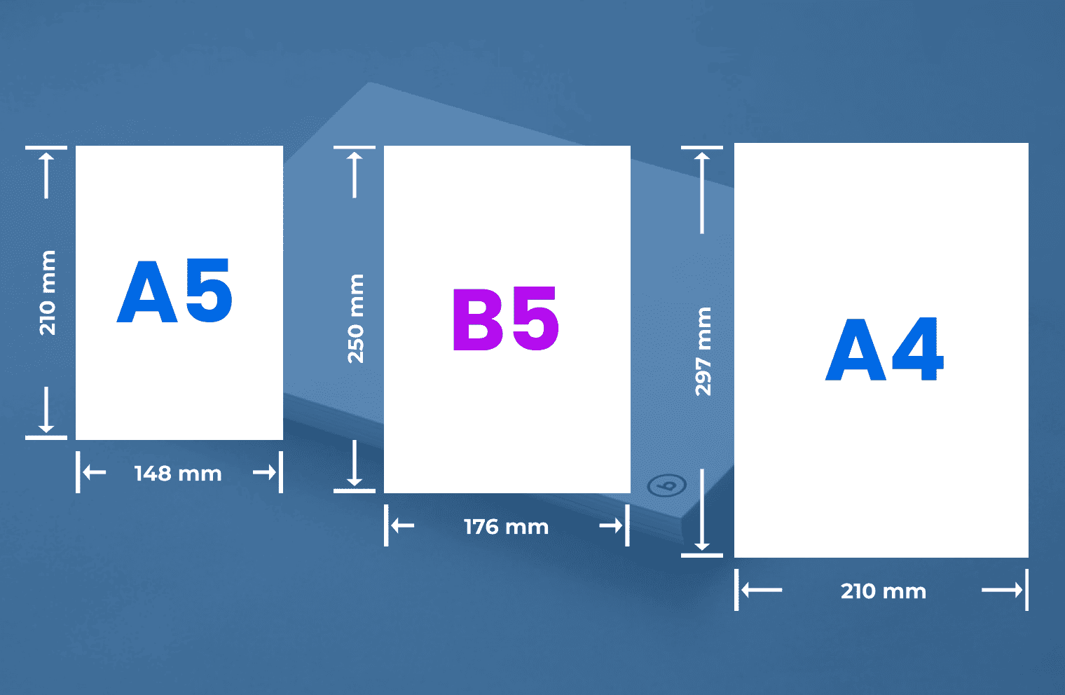 poster-paper-size-summitfess