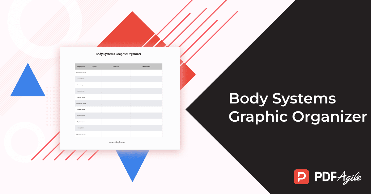 Body Systems Graphic Organizer_1200-630.png