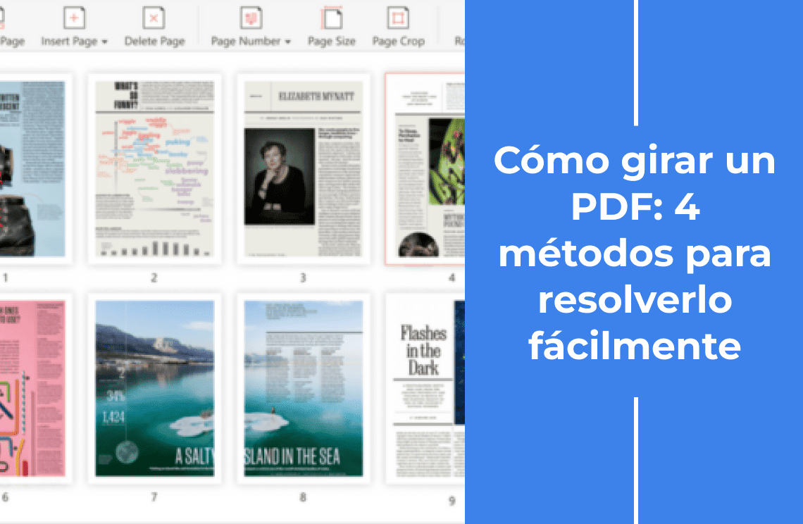 Cómo girar un PDF