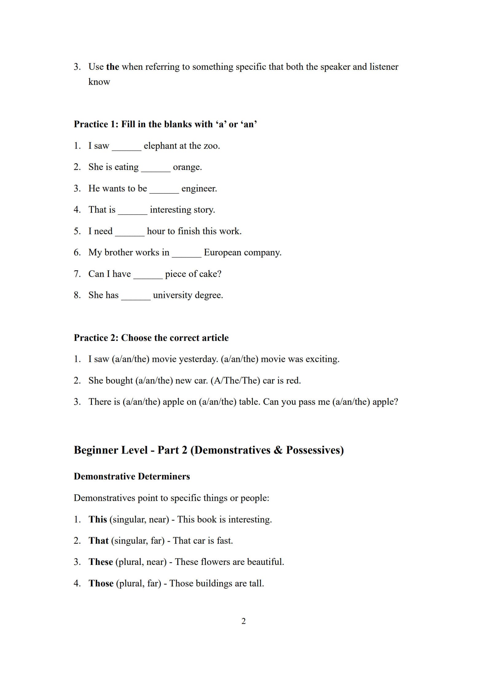 Determiners Worksheet 2