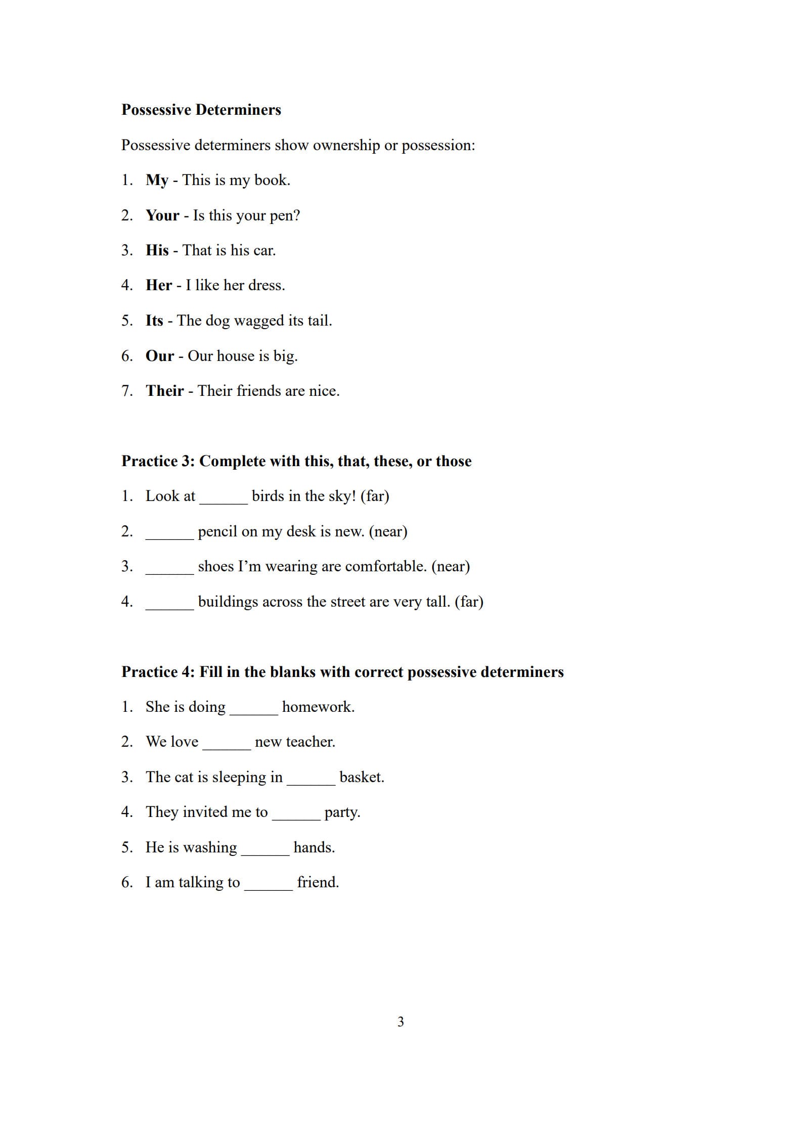 Determiners Worksheet 3