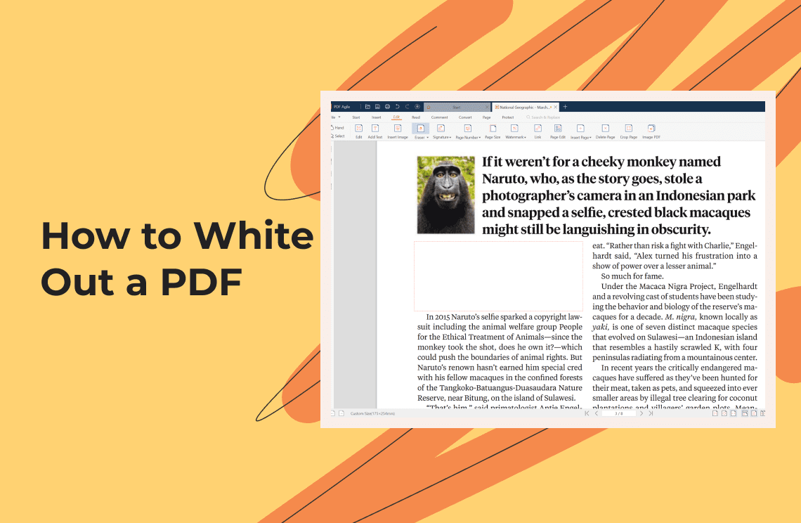 How to White Out a PDF_1140-744
