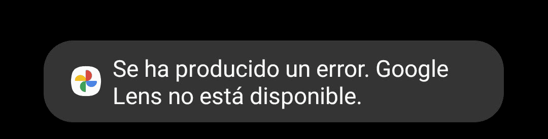 Google Lens no muestra búsqueda inversa