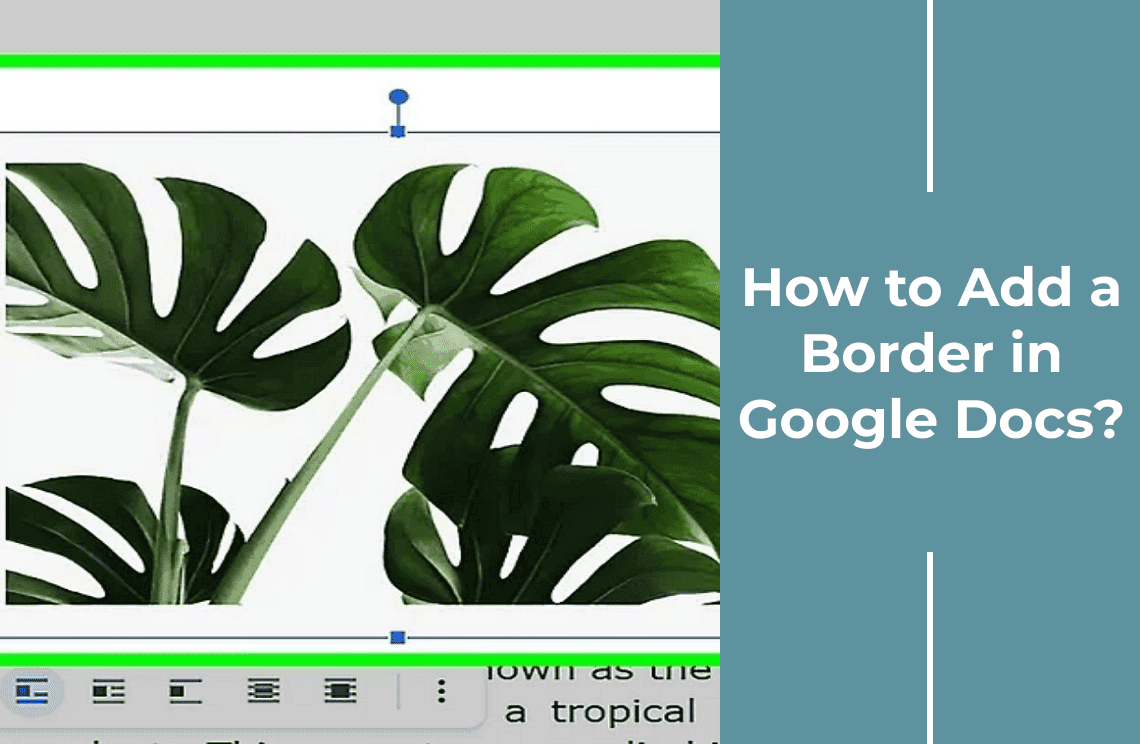 How to Add a Border in Google Docs?