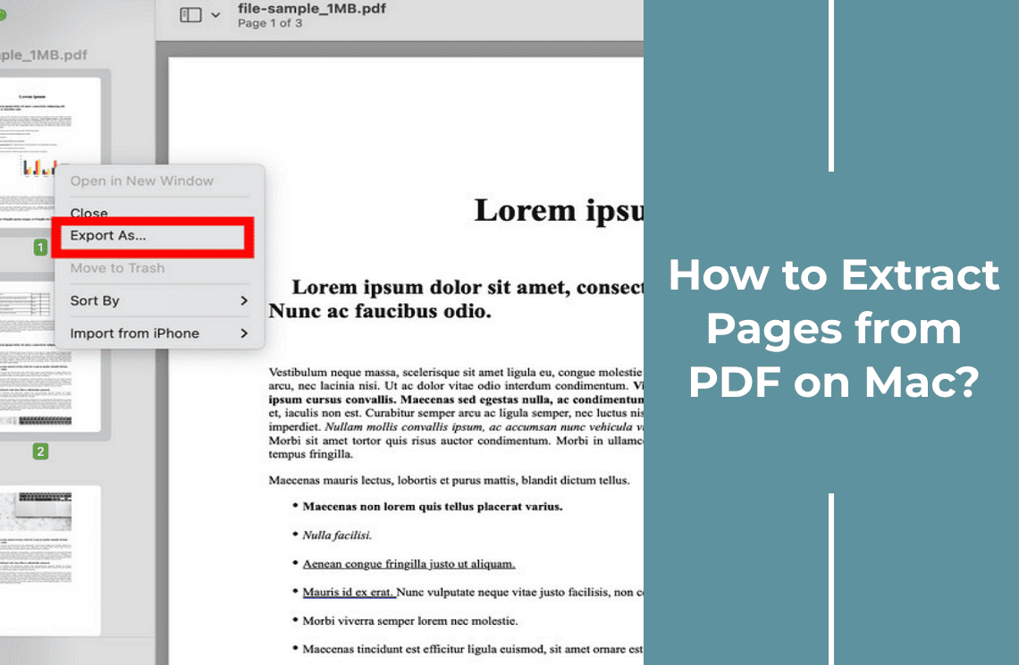 How to Extract Pages from PDF on Mac?