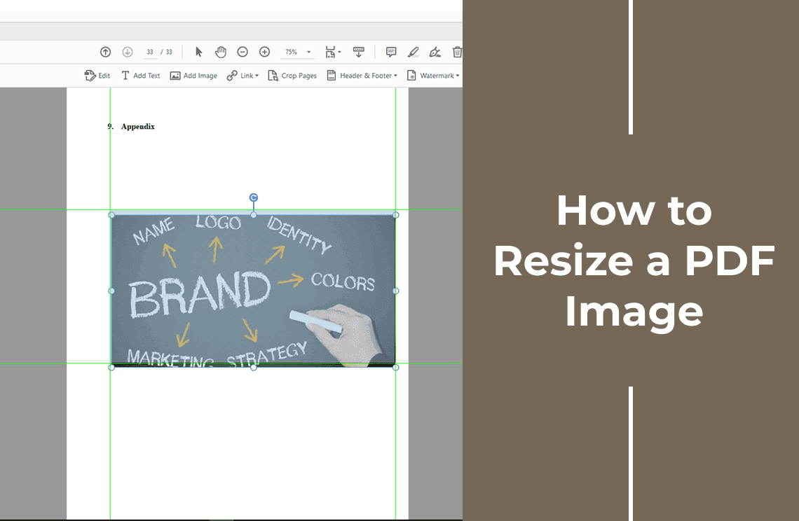 How to Resize a PDF Image | PDF Agile
