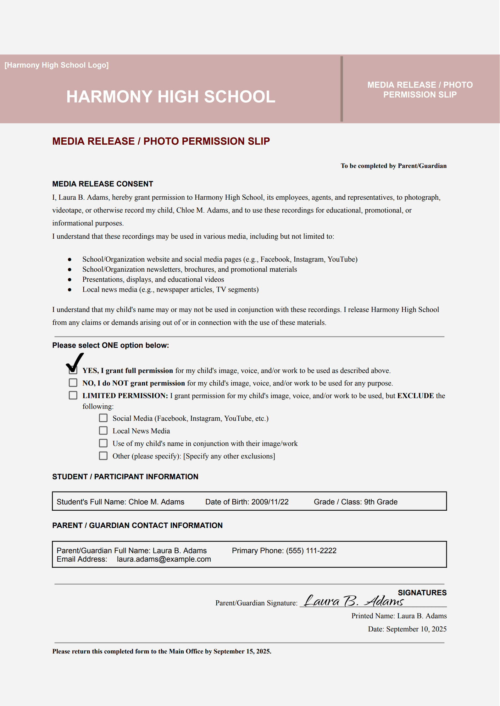 Media Release Permission Slip Template_example