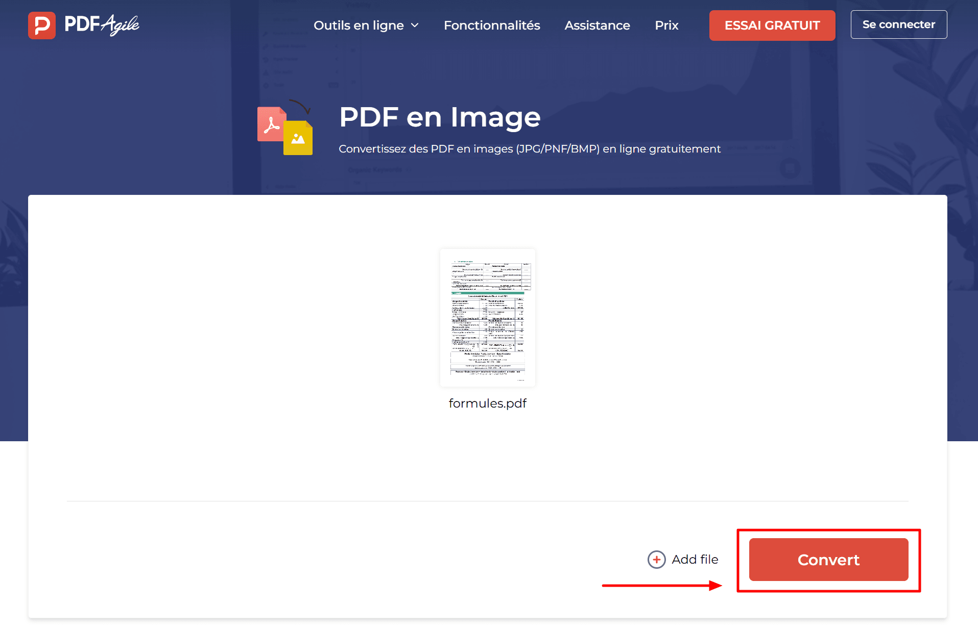 Méthode 6_Convertir PDF en PNG avec le convertisseur en ligne PDF Agile-5