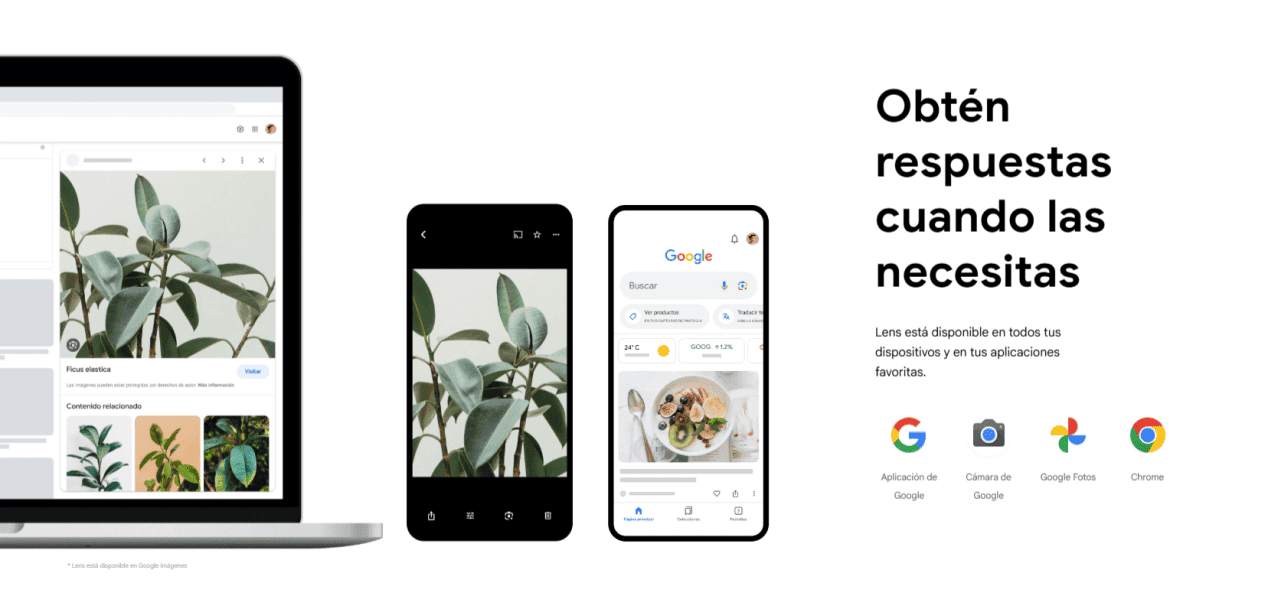 Obtén respuestas cuando las necesitas