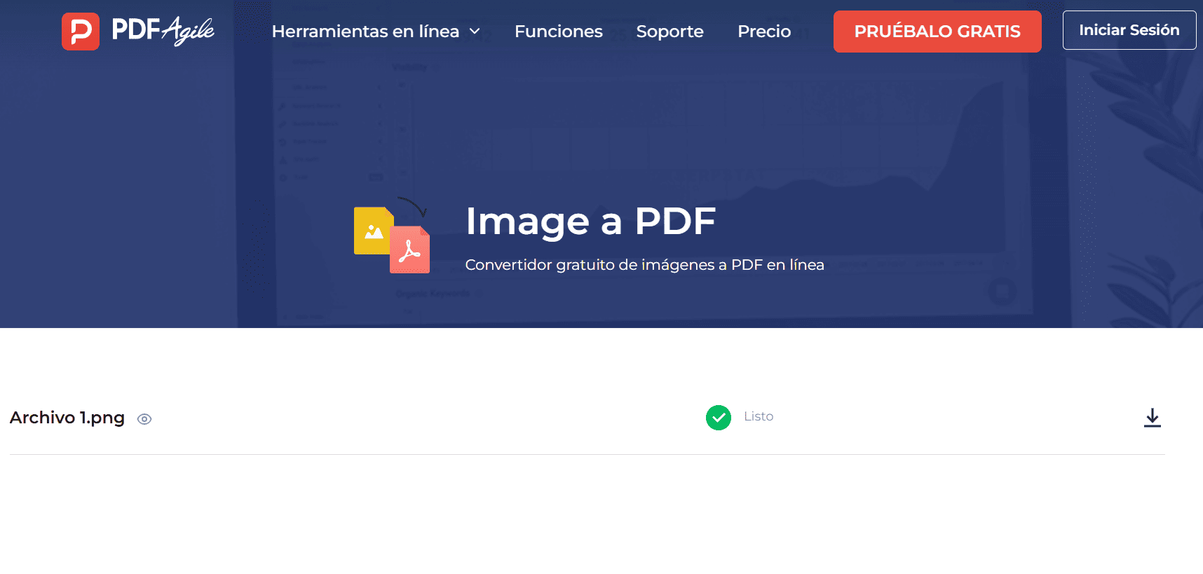 PDF agile