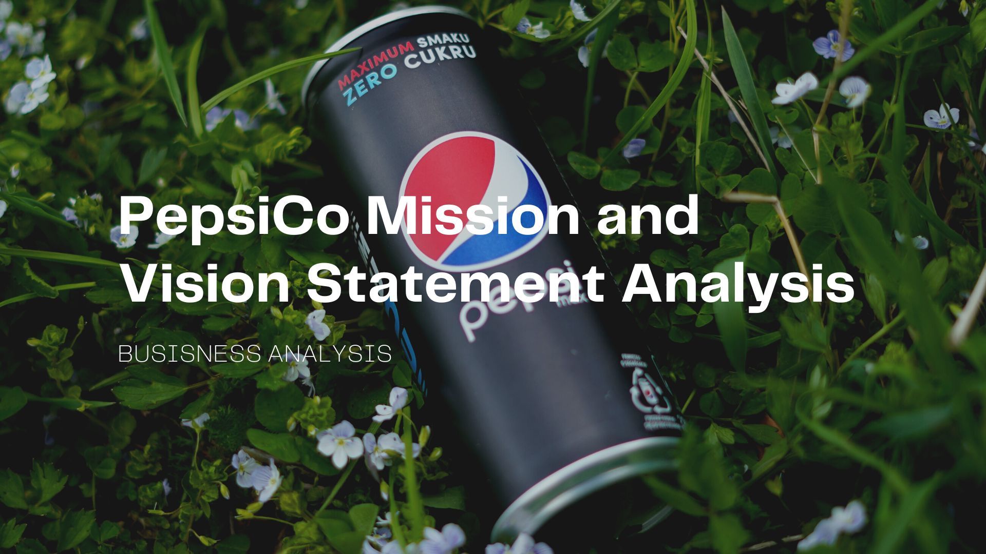 PepsiCo Mission and Vision Statement Analysis (2).jpg
