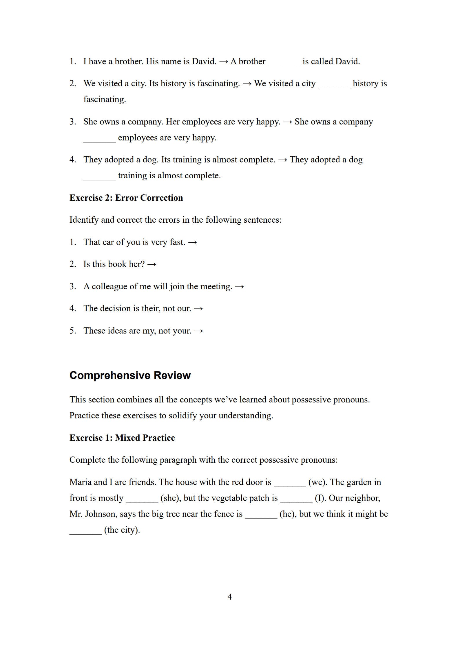 Possessive Pronouns Worksheets 4