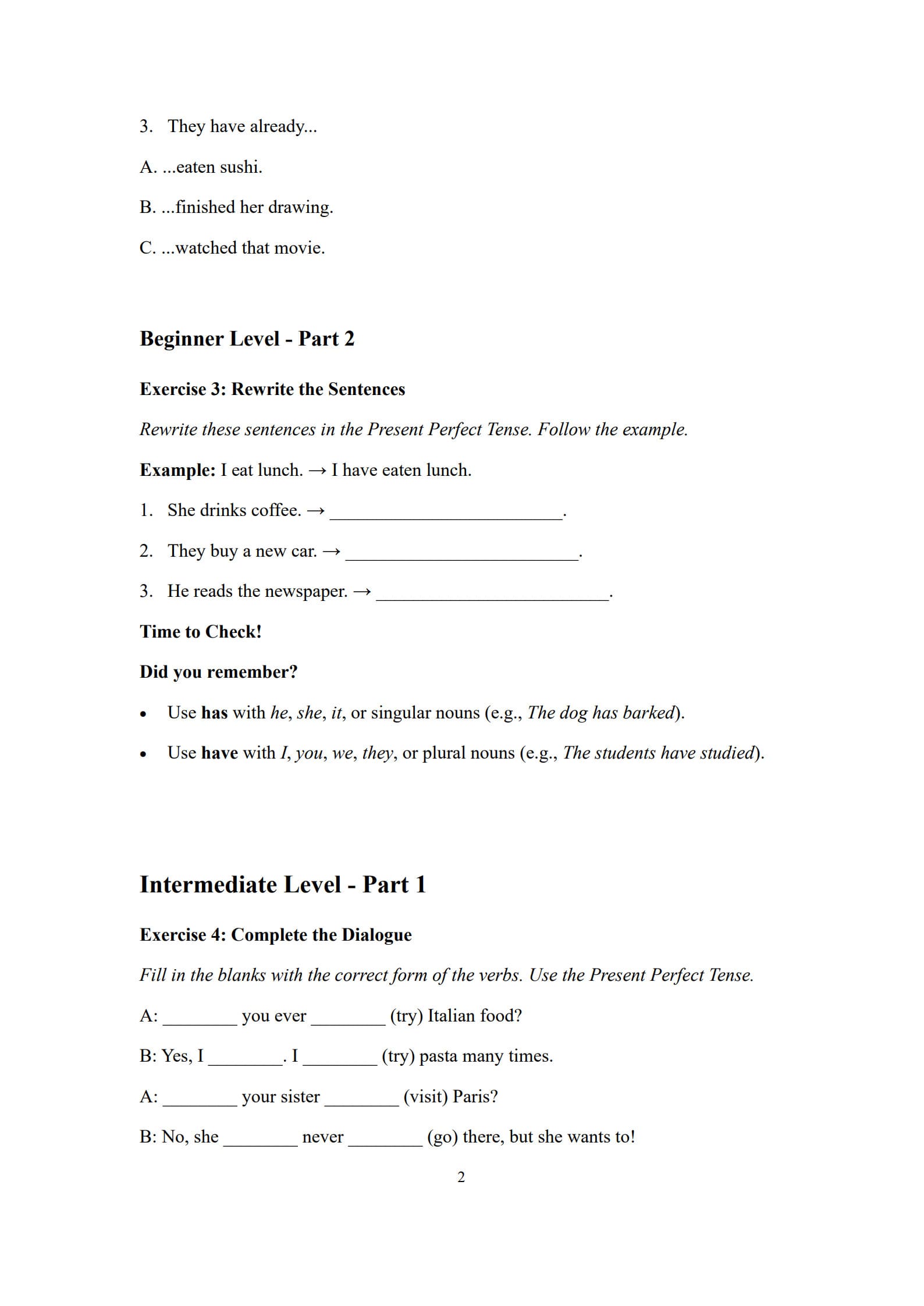Present Perfect Tense Worksheet 2