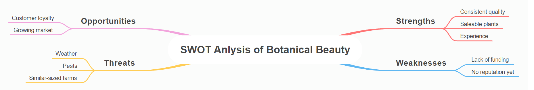 SWOT Analysis of Botanical Beauty