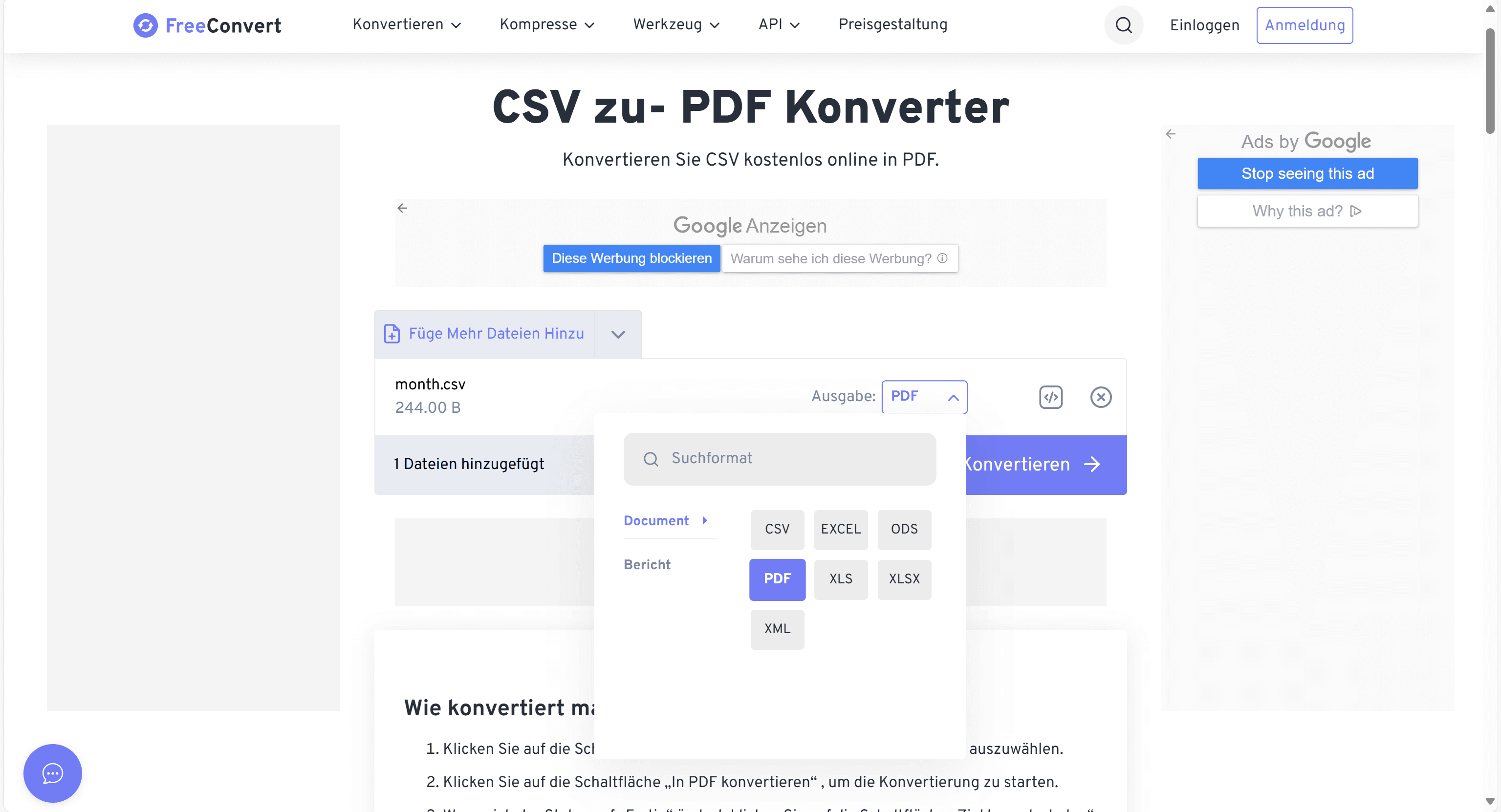 Schritt 2: Ausgabeformat auswählen (PDF)