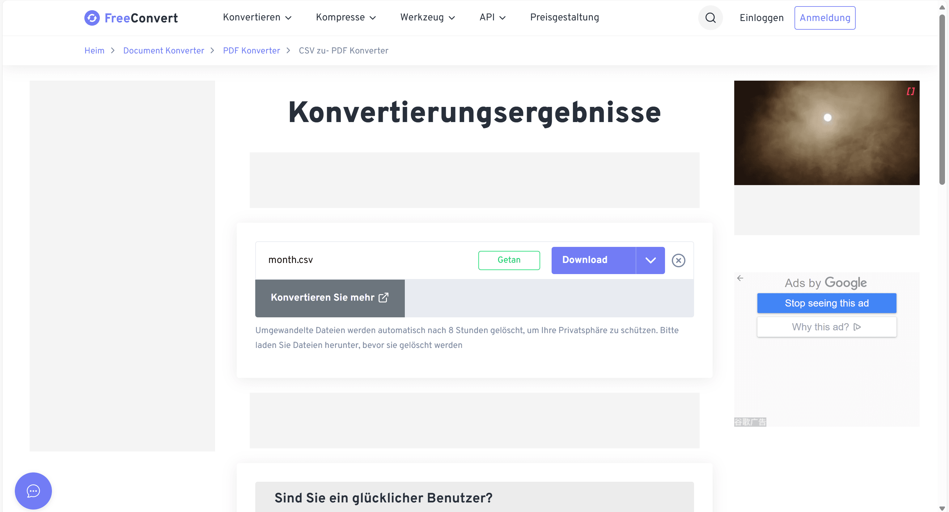 Schritt 5: PDF überprüfen und herunterladen