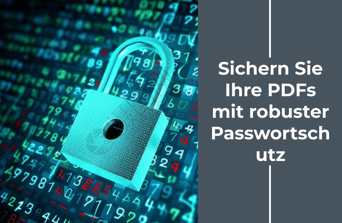 Sichern Sie Ihre PDFs mit robustem Passwortschutz | PDF Agile