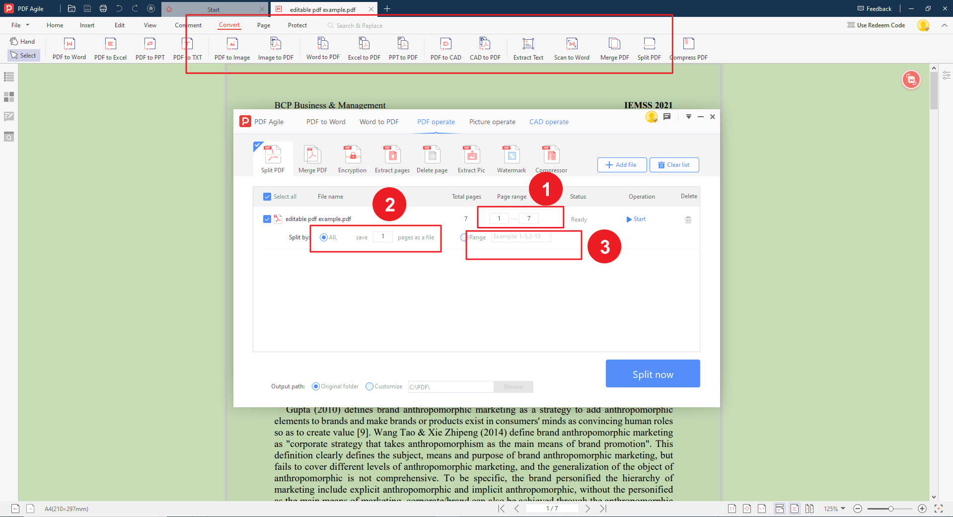 Step 2 Split by Page Range