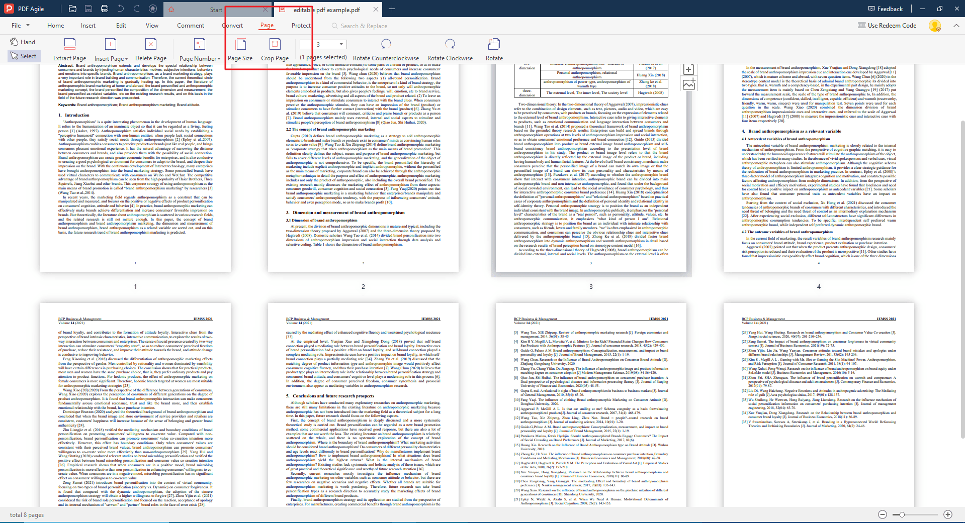 Step 3 Access Page Management Tools